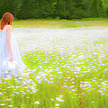 FIELD OF DREAMS