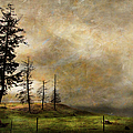 SILHOUETTES IN THE STORM
